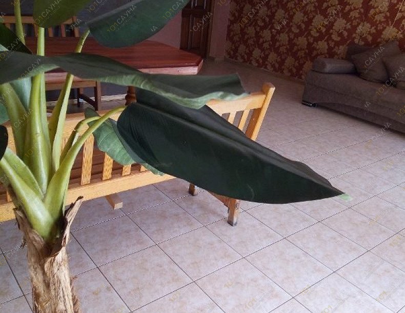 Центр отдыха Амазонка, в Тюмени, 50 лет ВЛКСМ, 94 | 3 | 1001sauna.com