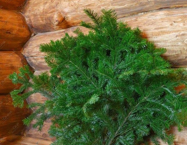 Бани на дровах Тайга, в Красноярске, Есения 35/1 | Большая баня. Фото 17 | 1001sauna.com