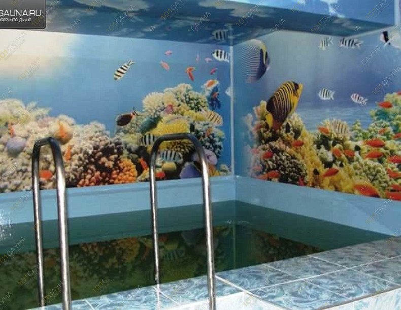 Сауна Каприз, в Челябинске, Елькина, 81 | 4 | 1001sauna.com