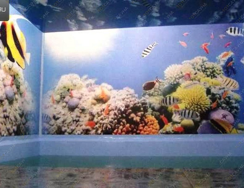 Сауна Каприз, в Челябинске, Елькина, 81 | 10 | 1001sauna.com