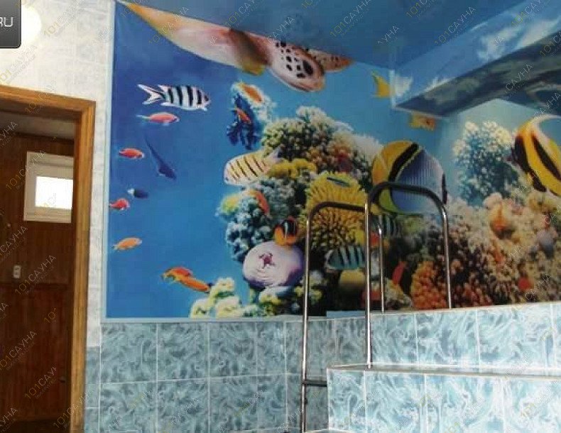 Сауна Каприз, в Челябинске, Елькина, 81 | 12 | 1001sauna.com