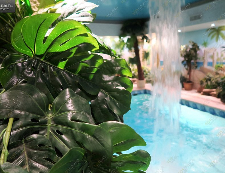 Сауна Фараон, в Москве, Ленинский проспект, 88  | 2 | 1001sauna.com