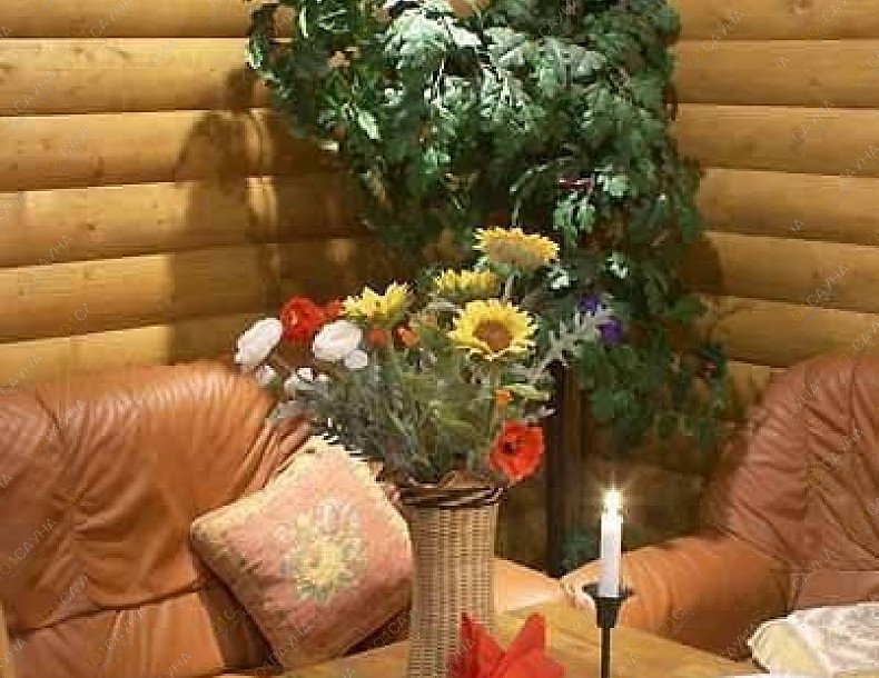 Сауна Изба, в Москве, Казакова, 8а ст1 | 10 | 1001sauna.com