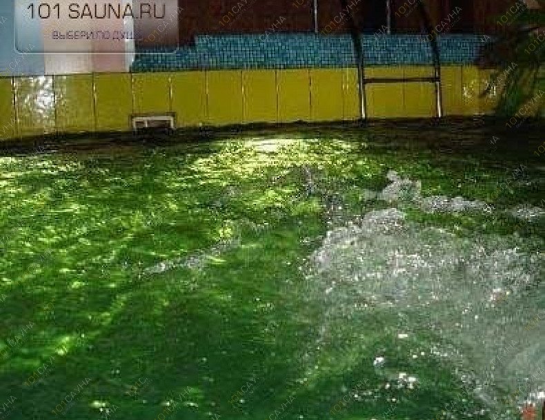 Сауна Супер, в Москве, Палехская, 131  | 1 | 1001sauna.com