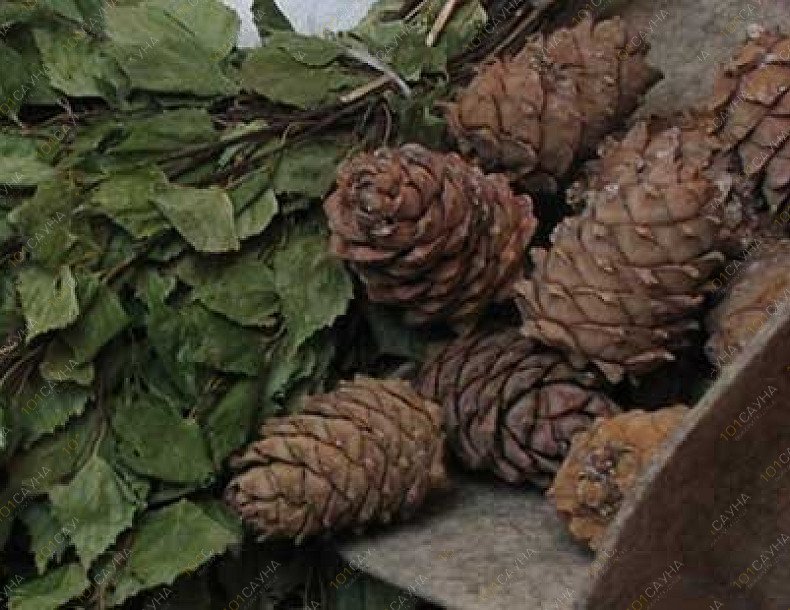 Ресторанный комплекс Экспедиция, в Москве, Певческий переулок, 6 | 10 | 1001sauna.com