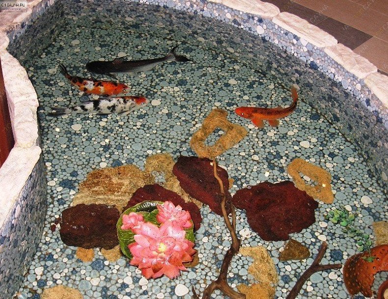 Сауна Саун Клуб, в Санкт-Петербурге, Заставская, 33 лит Ж | Банные принадлежности и веники в Саун Клуб | 1001sauna.com