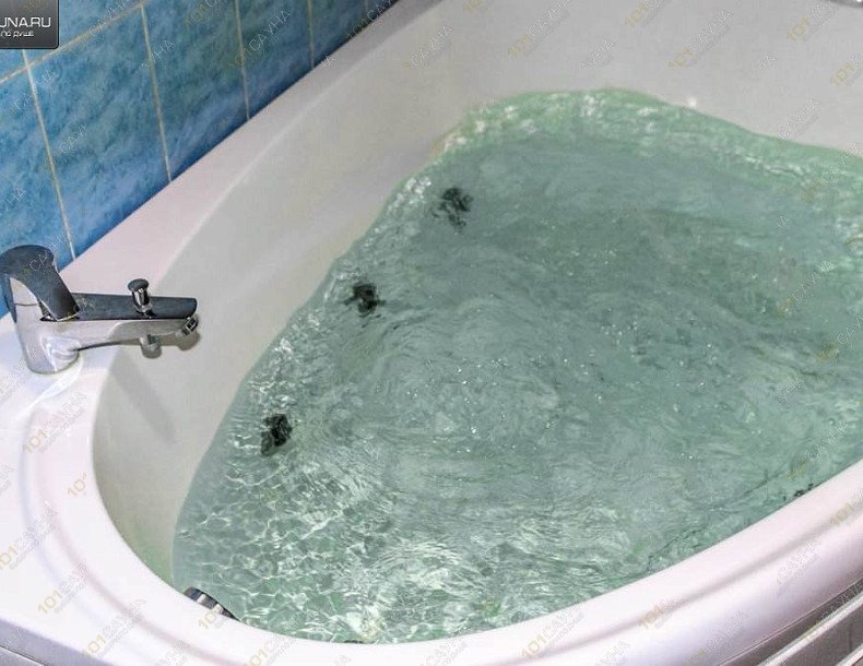 Сауна Белый Волк, в Рязани, Касимовское шоссе, 8, строение 1 | Номер 3. Фото 7 | 1001sauna.com