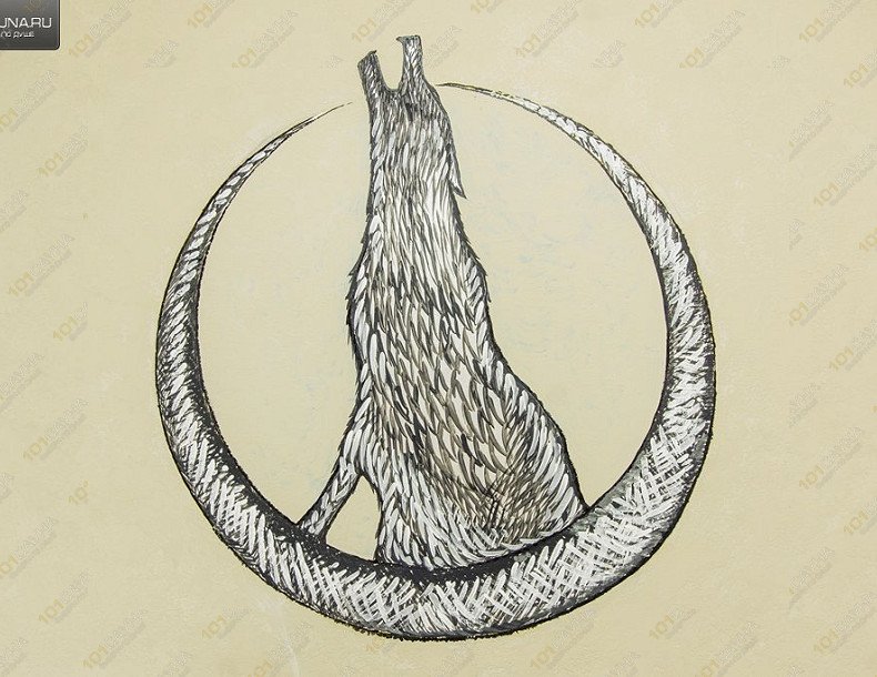 Сауна Белый Волк, в Рязани, Касимовское шоссе, 8, строение 1 | 26 | 1001sauna.com