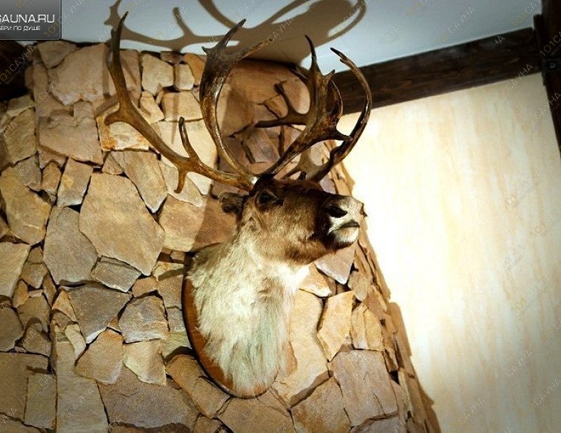 Сауна Аква-Терма, в Москве, Корнейчука, 59 | 15 | 1001sauna.com