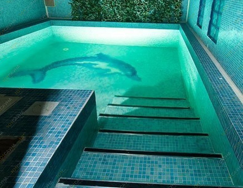 Сауна Фламинго, в Москве, Севастопольский проспект, 28 к2  | 7 | 1001sauna.com