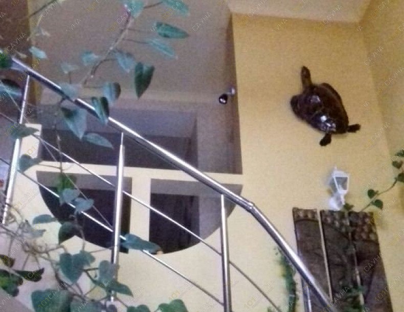 Сауна в гостинице Рим, в Краснодаре, Куренная, 123/1 | Фасад. Фото: 27 | 1001sauna.com