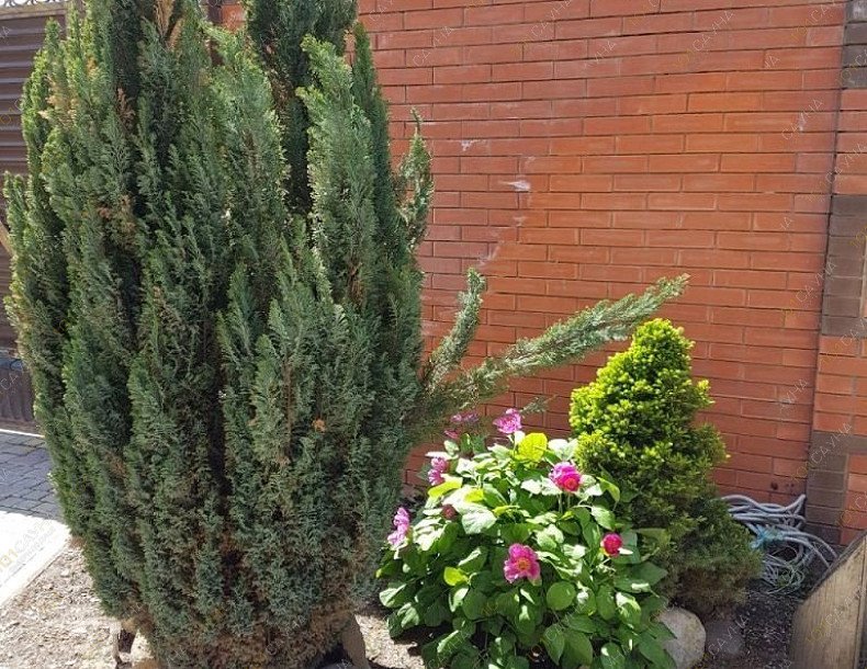 Сауна в гостинице Рим, в Краснодаре, Куренная, 123/1 | Фасад. Фото: 28 | 1001sauna.com