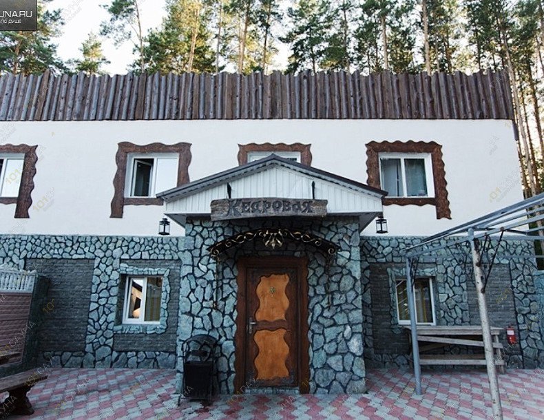 Бани с бассейном Новый Золотой Лев, в Новосибирске, Новосибирск, поселок Мочище, Лесная Поляна, 56 | Кедровая Баня. Фото: 5 | 1001sauna.com