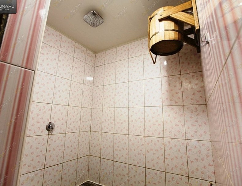 Бани с бассейном Новый Золотой Лев, в Новосибирске, Новосибирск, поселок Мочище, Лесная Поляна, 56 | Кедровая Баня. Фото: 10 | 1001sauna.com