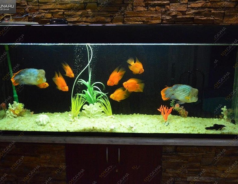 Сауна Ратибор, в Чебоксарах, Пролетарская, 9 | 6 | 1001sauna.com