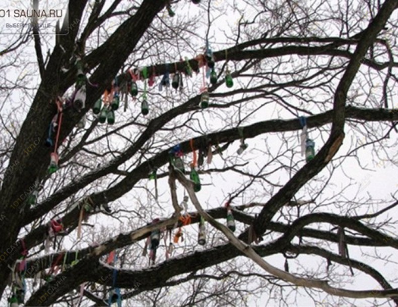 Русская баня Поляна любви, в Старом Осколе, Поляна любви | 4 | 1001sauna.com