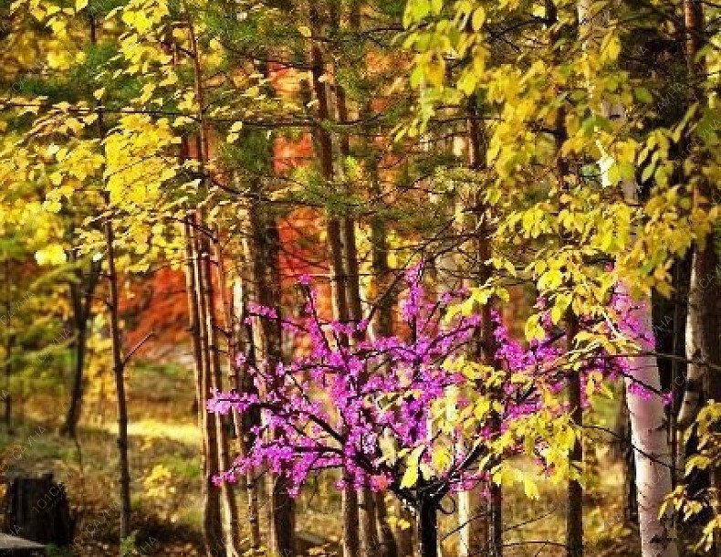 База отдыха Лукоморье, в Братске, Лукоморье, 1 | 15 | 1001sauna.com