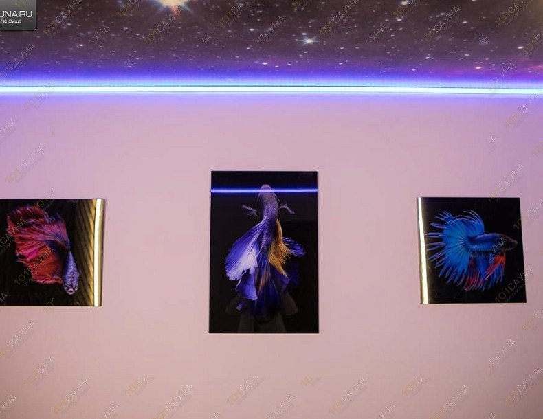 Банный комплекс Утиная заводь, в Ярославле, Авиаторов, 35а | Номер - Релакс. Фото: 13 | 1001sauna.com