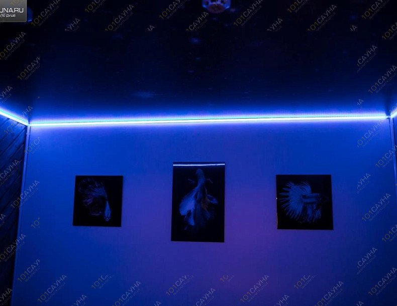 Банный комплекс Утиная заводь, в Ярославле, Авиаторов, 35а | Номер - Релакс. Фото: 16 | 1001sauna.com