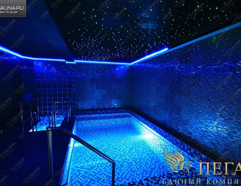 Банный комплекс Пегас, в Липецке, Ковалёва, 128 | Premium Hall. Фото: 3 | 1001sauna.com