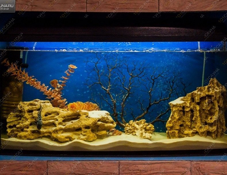 Сауна Альбатрос, в Чебоксарах, Т. Кривова, 10 | 5 | 1001sauna.com