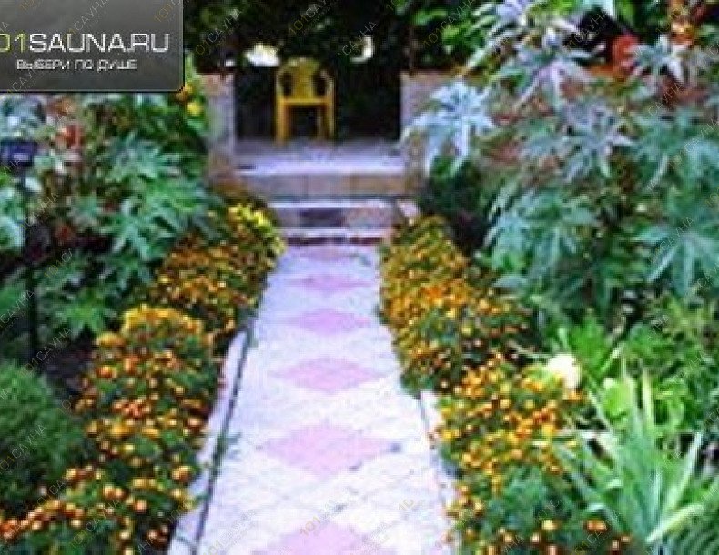 Сауна Диана, в Курске, 1-я Пушкарная, д. 76 | 6 | 1001sauna.com