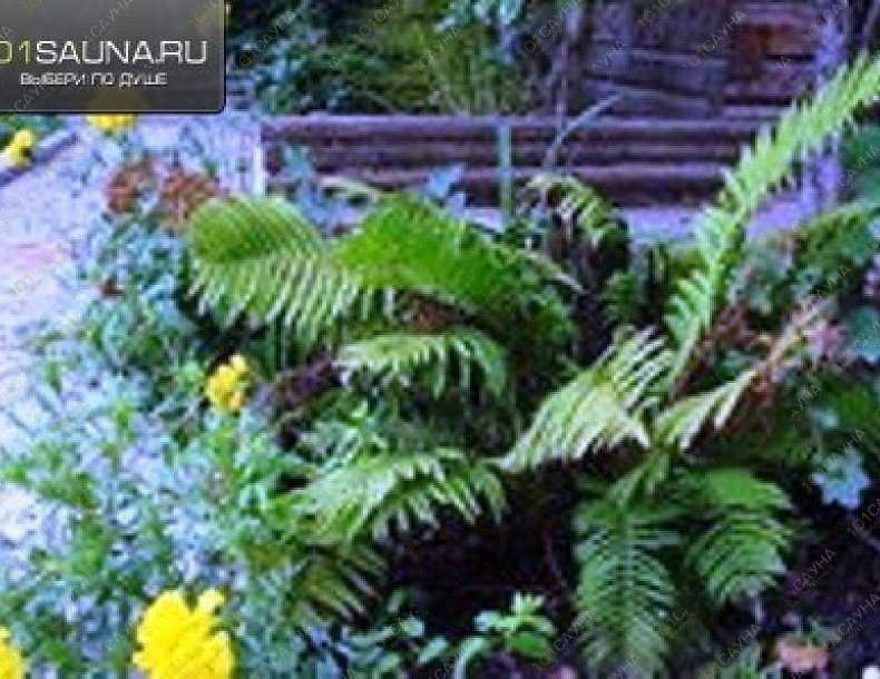 Сауна Диана, в Курске, 1-я Пушкарная, д. 76 | 7 | 1001sauna.com