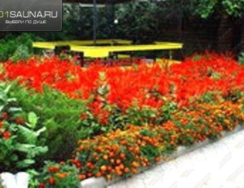 Сауна Диана, в Курске, 1-я Пушкарная, д. 76 | 8 | 1001sauna.com