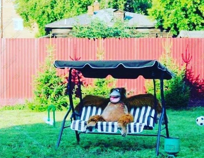 Центр отдыха Аквариум, в Омске, Учебная, 77 | Территория. Фото: 41 | 1001sauna.com