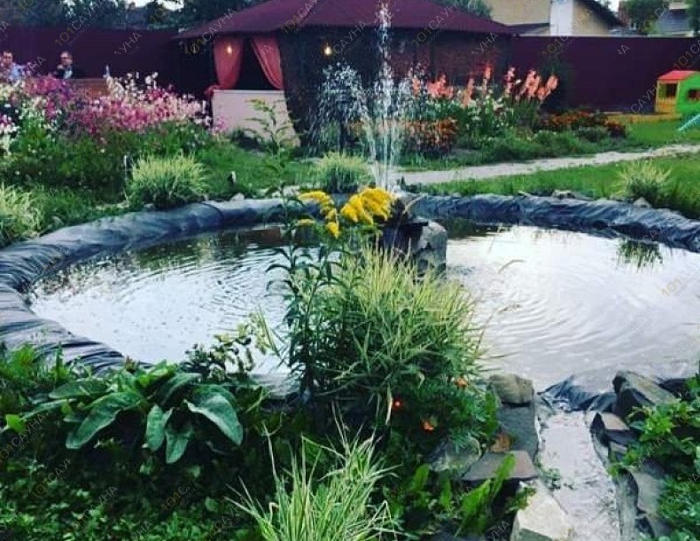 Центр отдыха Аквариум, в Омске, Учебная, 77 | Территория. Фото: 42 | 1001sauna.com