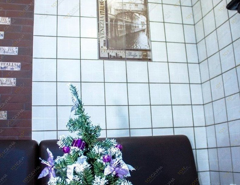 Сауна Посейдон, в Красноярске, Красноярский рабочий, 27 | Номер: Венеция. Фото: 8 | 1001sauna.com