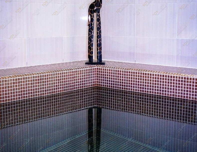 Сауна Посейдон, в Красноярске, Красноярский рабочий, 27 | Номер: Африка. Фото: 17 | 1001sauna.com