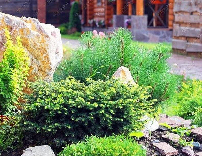 Комплекс Банная усадьба Цветы, в Уфе, Красная, 1а (район ИКЕА) | 50 | 1001sauna.com