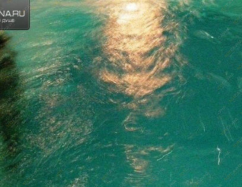 Сауна Золотая антилопа, в Иркутске, Баумана, 237/2 (рядом с кафе "Корона") | 1 | 1001sauna.com