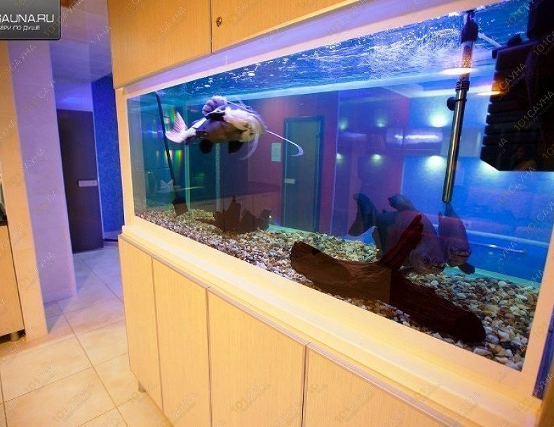 Сауна Кристалл-NEO, в Чебоксарах, город Новочебоксарск, Терешковой, 16 | 8 | 1001sauna.com