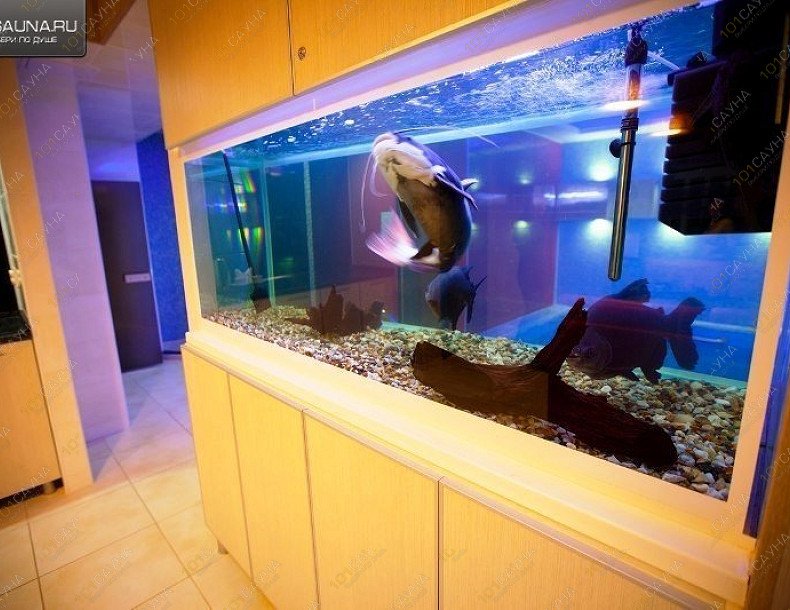 Сауна Кристалл-NEO, в Чебоксарах, город Новочебоксарск, Терешковой, 16 | 9 | 1001sauna.com