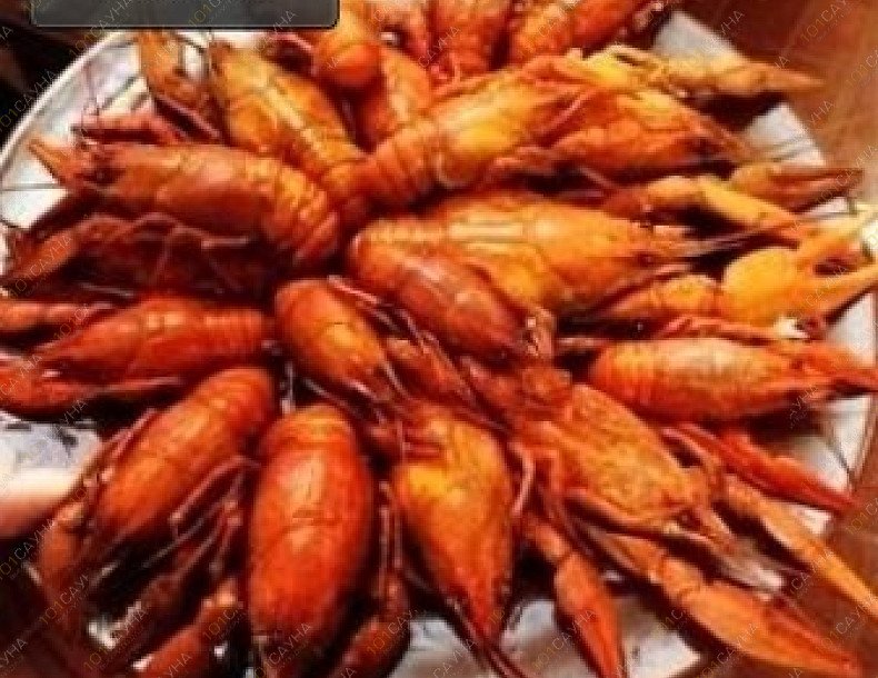 Сауна Парус, в Саранске, Фридриха Энгельса, 5а строение 1 | 2 | 1001sauna.com