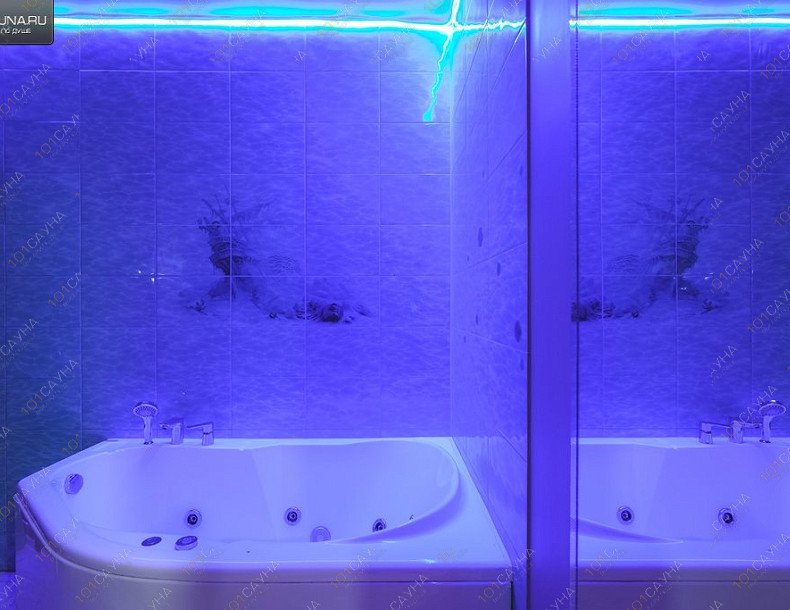 Сауна Фортуна, в Твери, Гайдара, 4 | Номер с джакузи. Фото 39 | 1001sauna.com