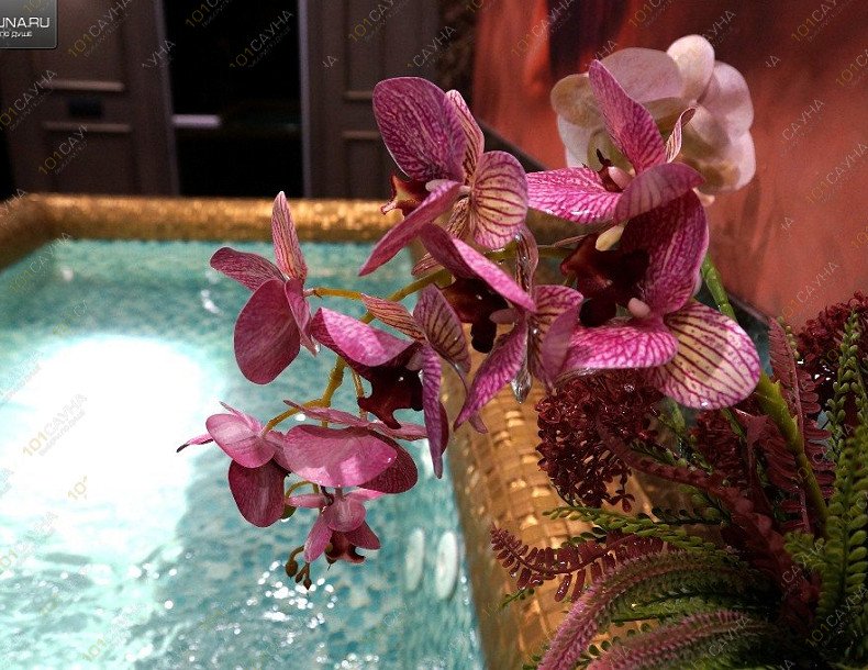 Сауна Калипсо, в Кирове, улица Лепсе, 6 | Номер - Ангел. Фото 67 | 1001sauna.com