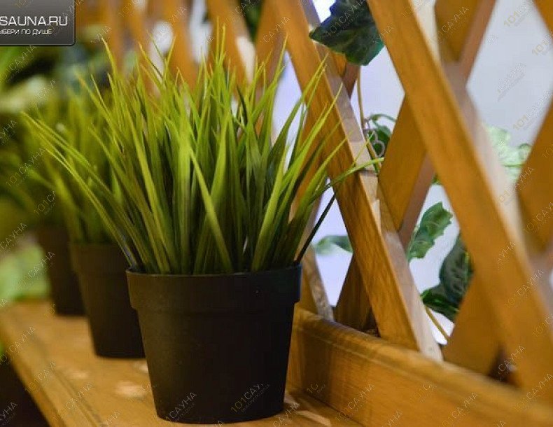 Сауна Уолл Стрит, в Липецке, Папина, 3 Б | Сауна " Уолл Стрит" ,г. Липецк, ул. Папина, д. 3 Б, т. 55-48-00 | 1001sauna.com