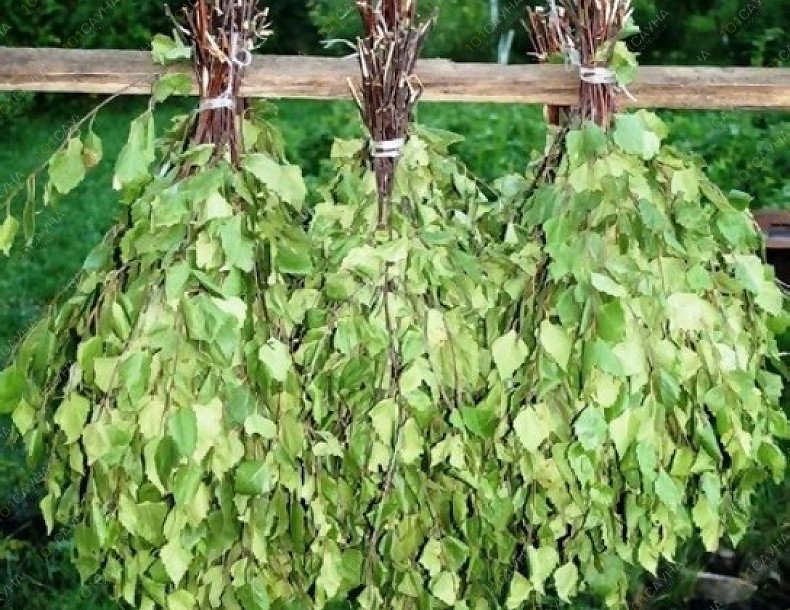 Баня На дровах, в Санкт-Петербурге, Мориса Тореза, 71А | веники | 1001sauna.com