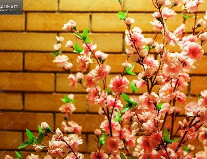 Сауна Клеопатра, в Екатеринбурге, Машинистов, 2А (вход со двора) | Большой зал. Фото: 34 | 1001sauna.com