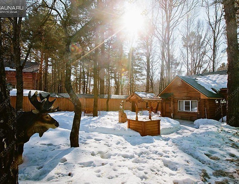 Банный комплекс Ляпота, в Пензе, Камыши-Хвощи, 10А | Охотничья баня. Фото: 40 | 1001sauna.com