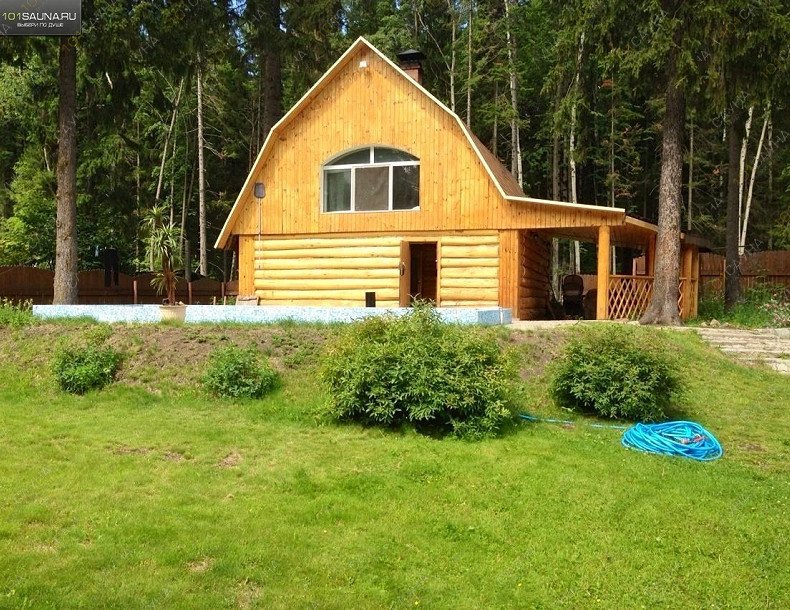 Русская Баня на ППИ, Профессора Дюдюкина