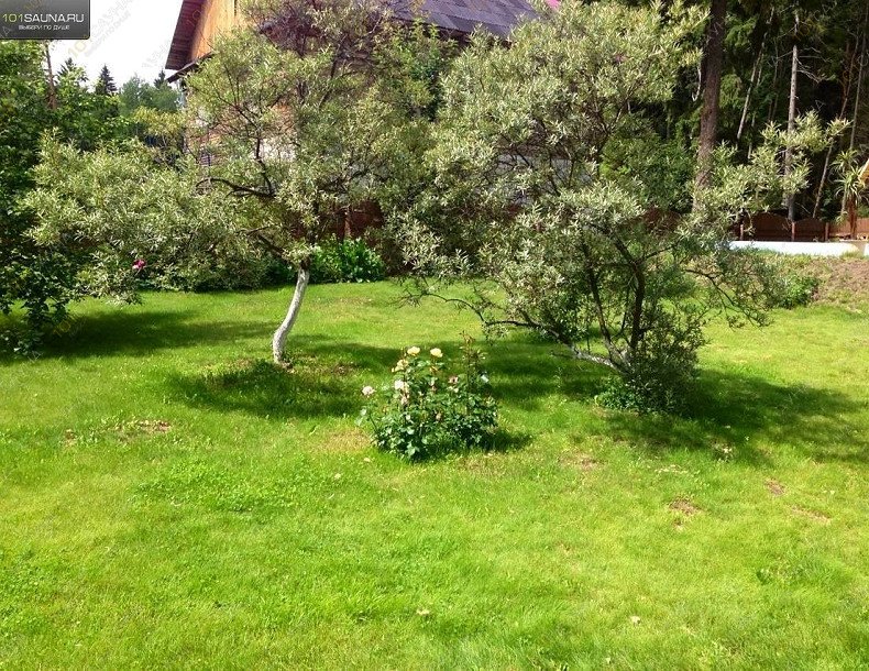 Русская баня На ППИ, в Перми, Профессора Дедюкина | Территория | 1001sauna.com