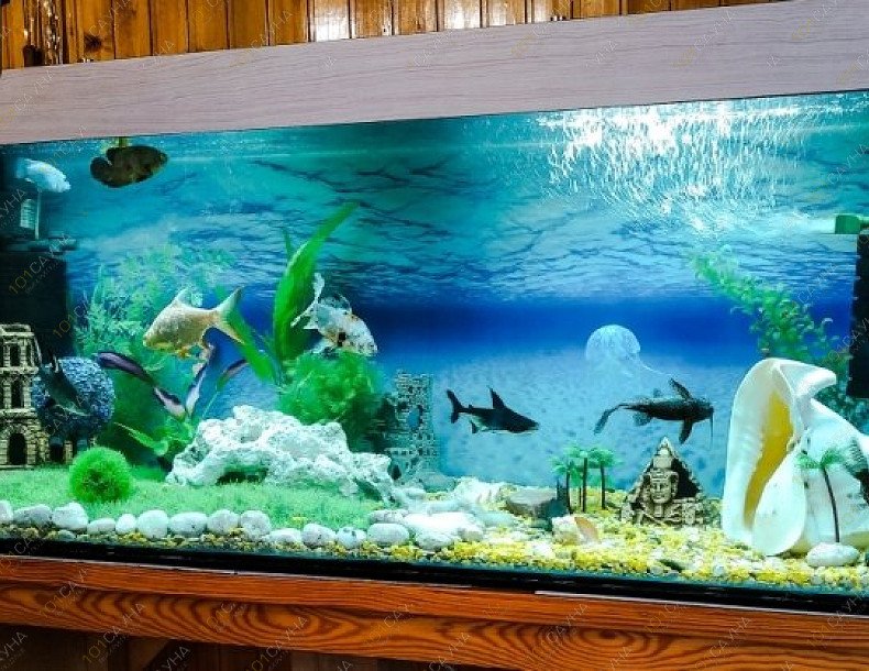 Русская Банька на дровах, в Курске, Диасомидзе, 11/16 | 4 | 1001sauna.com