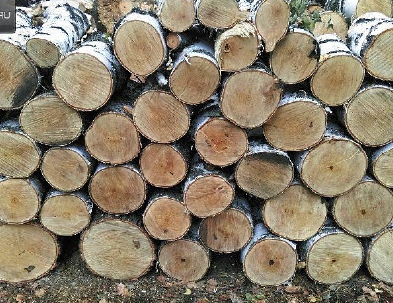 Баня в отеле Аквариум, в Кемерове, Механизаторов, 15а | 15 | 1001sauna.com