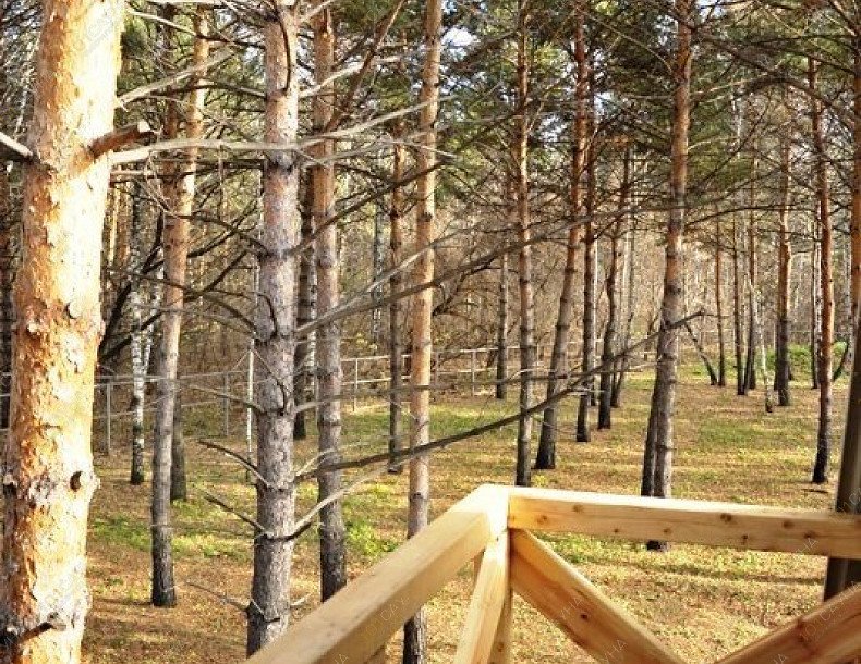 Баня в отеле Аквариум, в Кемерове, Механизаторов, 15а | 27 | 1001sauna.com