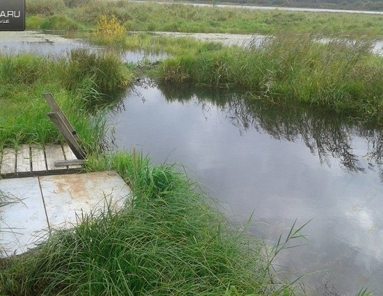 Баня на Исавском озере, в Иванове, Ивановская область, деревня Исавское | 5 | 1001sauna.com