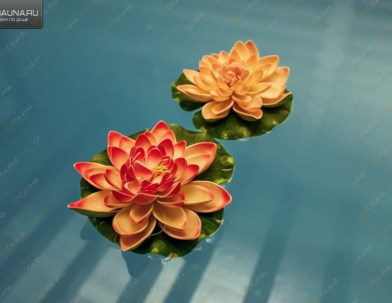 Баня в срубе Браун, в Краснодаре, пос. Индустриальный, улица Евдокимовская, 97 | 82 | 1001sauna.com